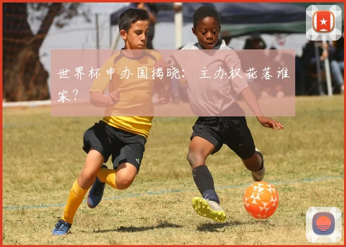 世界杯申办国揭晓:主办权花落谁家?