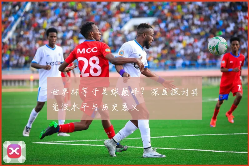 世界杯等于足球巅峰？深度探讨其竞技水平与历史意义