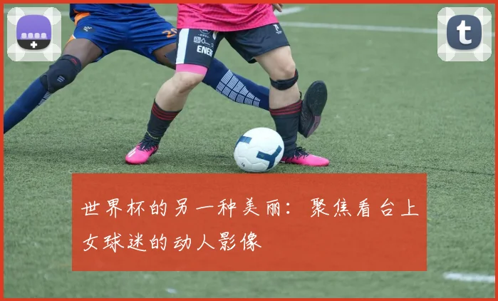 世界杯的另一种美丽:聚焦看台上女球迷的动人影像