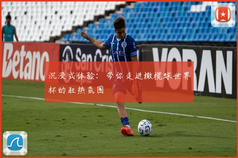 沉浸式体验:带你走进橄榄球世界杯的狂热氛围