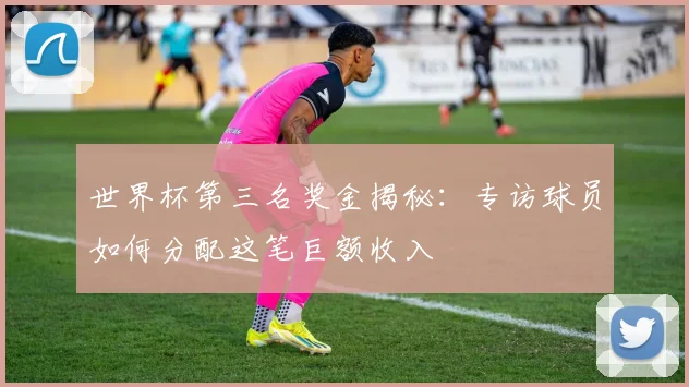 世界杯第三名奖金揭秘：专访球员如何分配这笔巨额收入