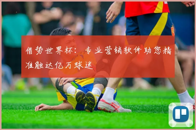 借势世界杯:专业营销软件助您精准触达亿万球迷