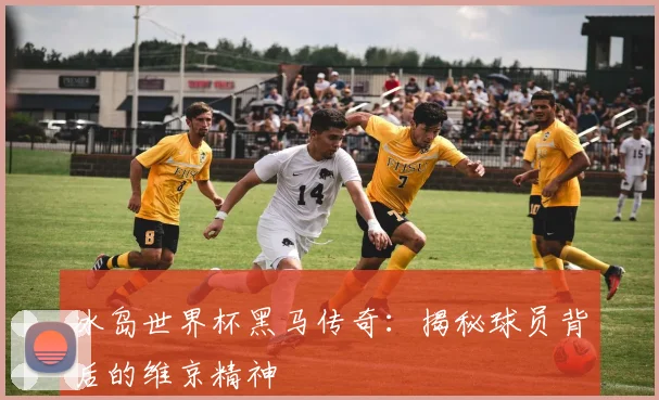 冰岛世界杯黑马传奇：揭秘球员背后的维京精神