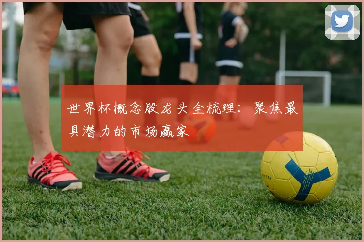 世界杯概念股龙头全梳理：聚焦最具潜力的市场赢家