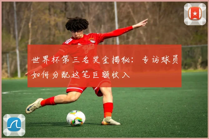 世界杯第三名奖金揭秘：专访球员如何分配这笔巨额收入